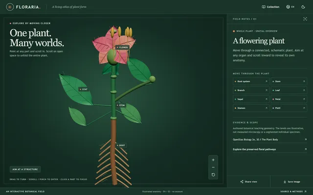 Floraria, a Continuous Botanical Scene from Museum Scans to Cells