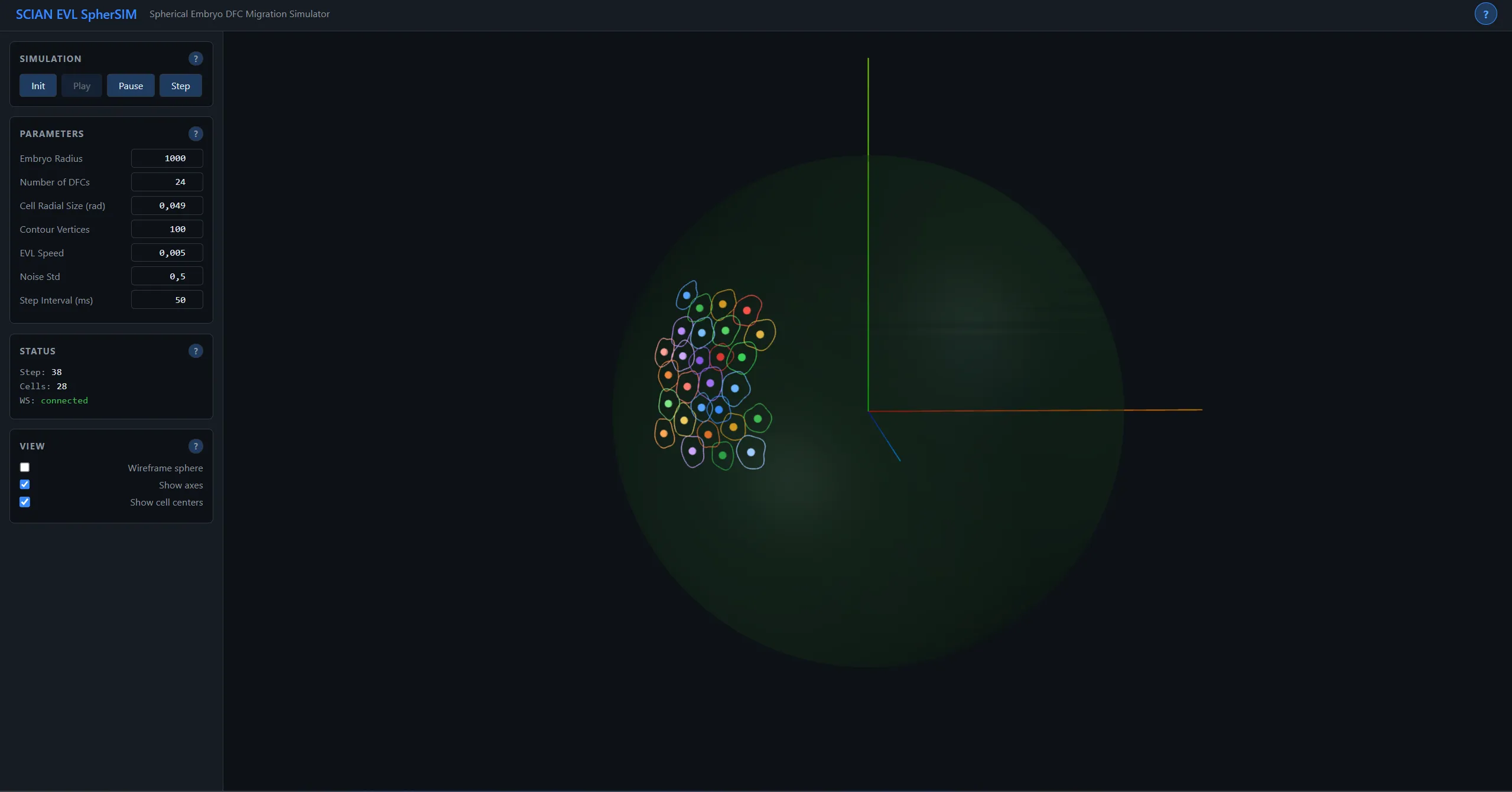 3D Embryo Cell Migration Simulator