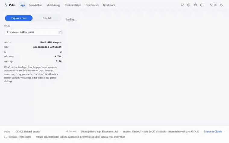 Pulso — Well-Test Diagnostic-Curve Shape Clustering and Attribution in action